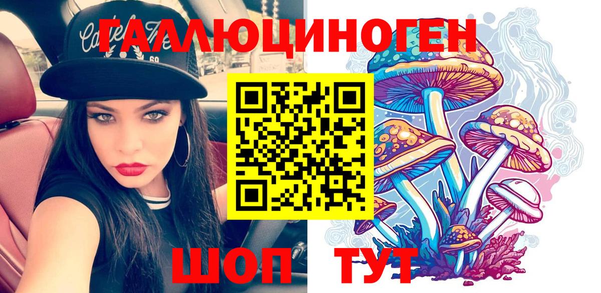 Галлюциногенные грибы Psilocybe  Вход с VPN  Галлюциногенные грибы MAGIC MUSHROOMS  Луга 